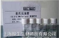 麦氏比浊管
