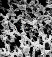 MF-Millipore密理博47mm 0.05um混合纤维素过滤膜VMWP04700