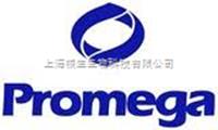 Reverse Transcription System逆转录系统Promega A3500