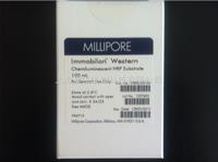 Millipore密理博Western 化学发光HRP底物WBKLS0100