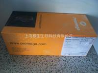 promega双萤光素酶报告基因检测系统 E1960