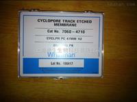 Cytiva WHATMAN Cyclopore全透明聚碳酸酯膜7060-4710
