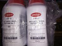 Oxoid细菌学蛋白胨BACTERIOLOGICAL PEPTONE货号LP0137B