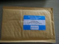 Cyitva whatman 25mm聚酯排水片支持膜230600