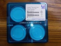 Merck Millipore PVDF过滤膜0.1um孔径47mm直径货号VVLP04700