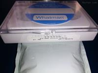 WHATMAN沃特曼3um径迹蚀刻聚碳酸酯Nuclepore过滤膜111112 10418312