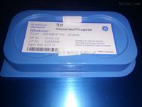 GE Whatman 10411411聚四氟乙烯膜滤膜200nm孔径PTFE滤膜Cytiva