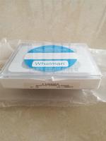 WHATMAN Nuclepore径迹蚀刻膜0.03um孔径25mm直径110602