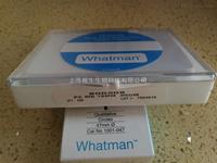 WHATMAN聚碳酸酯膜径迹蚀刻膜0.05um孔径19mm直径800308