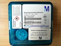 MF-Millipore表面滤膜黑色网格25mm直径0.8um孔径AABG02500