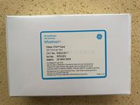 Qiagen凯杰whatman FTA采血卡China FTA Card WB129237 