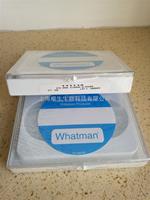 WHATMAN聚碳酸酯Nuclepore径迹蚀刻膜8um 111114 10417512