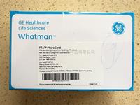 WHATMAN非指示型FTA微型卡WB120210