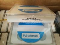 WHATMAN Nuclepore径迹蚀刻聚碳酸酯过滤膜800284 10417304
