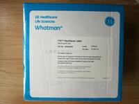 WHATMAN沃特曼PlantSaver Label植物存储FTA卡WB120065