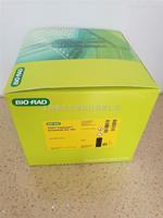 Bio-Rad伯乐1610173 TGX FastCast Acrylamiae快速制胶试剂盒161-0173