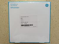 WHATMAN GF/F玻璃纤维滤纸0.7um孔径150mm直径1825-150 1825-142