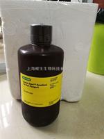 Bio-Rad伯乐500-0205快速蛋白测定Bradford染料5000205