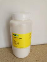 Bio-Rad伯乐140-1351 AG1-X4 Resin 200-400目1401351