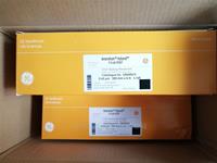 Cytiva Amersham 0.45um PVDF转印膜10600023
