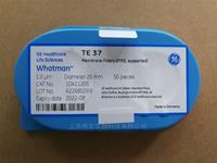 WHTMAN TE37聚四氟乙烯PTFE过滤膜10411205