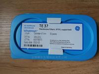 WHATMAN特氟龙TE37型PTFE过滤膜1um孔径10411211 10411205
