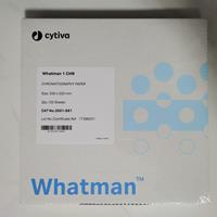WHATMAN 1Chr层析纸色谱纸杂交滤纸20*20cm 3001-861