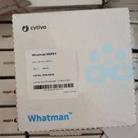 WHATMAN HGF61玻璃纤维纸带1830-6236 1830-10095