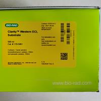 Bio-Rad伯乐Clarity Western ECL Substrate化学发光底物170-5060 170-5061