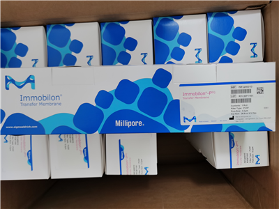 Millipore密理博Immobilon-PSQ 0.2um PVDF转印膜ISEQ00010