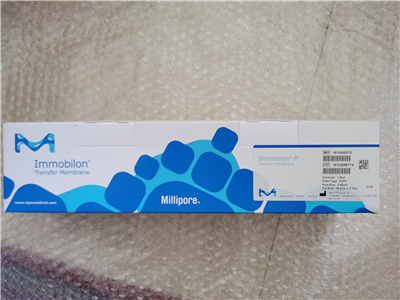 Millipore密理博0.45um Immobilon-P PVDF转印膜IPVH00010